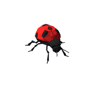 Lady Bug